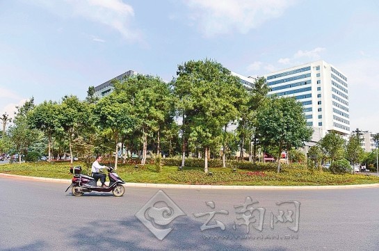 市民文明監督團與記者“驗收”昆明整治道路