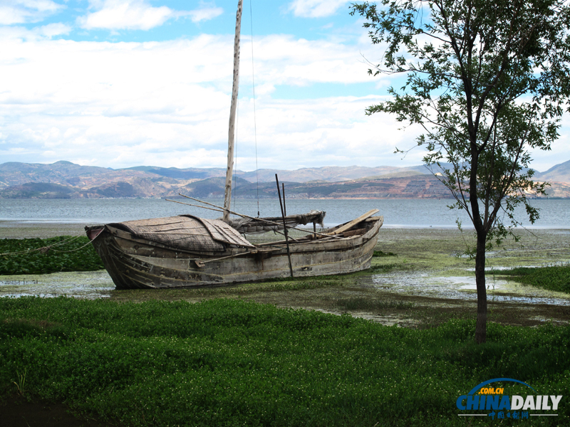 洱海月濕地公園 讓大理人民的“母親湖”洱海不再憔悴
