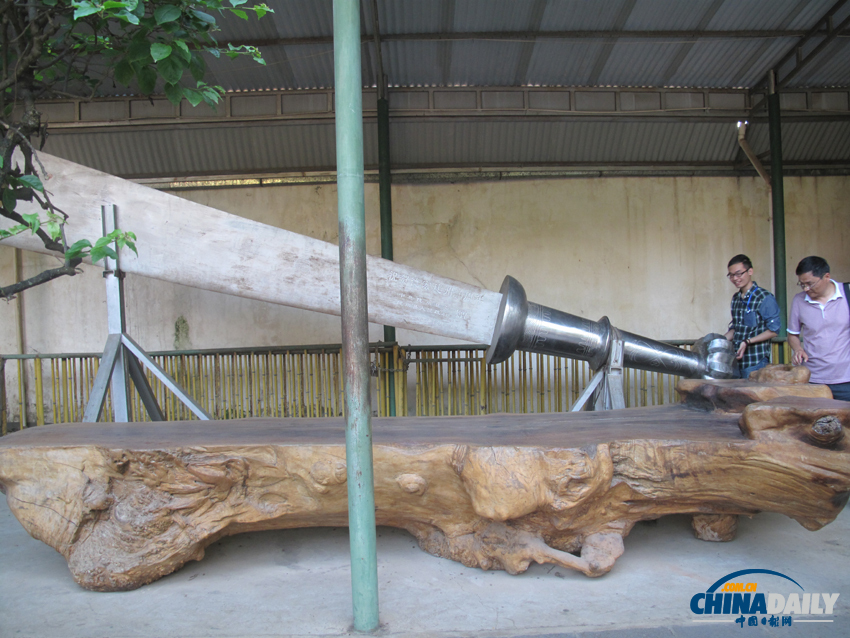 鐘靈毓秀 天下奇觀——勐巴娜西珍奇園