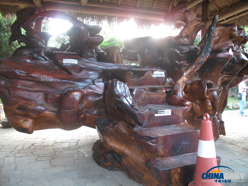 鐘靈毓秀 天下奇觀——勐巴娜西珍奇園