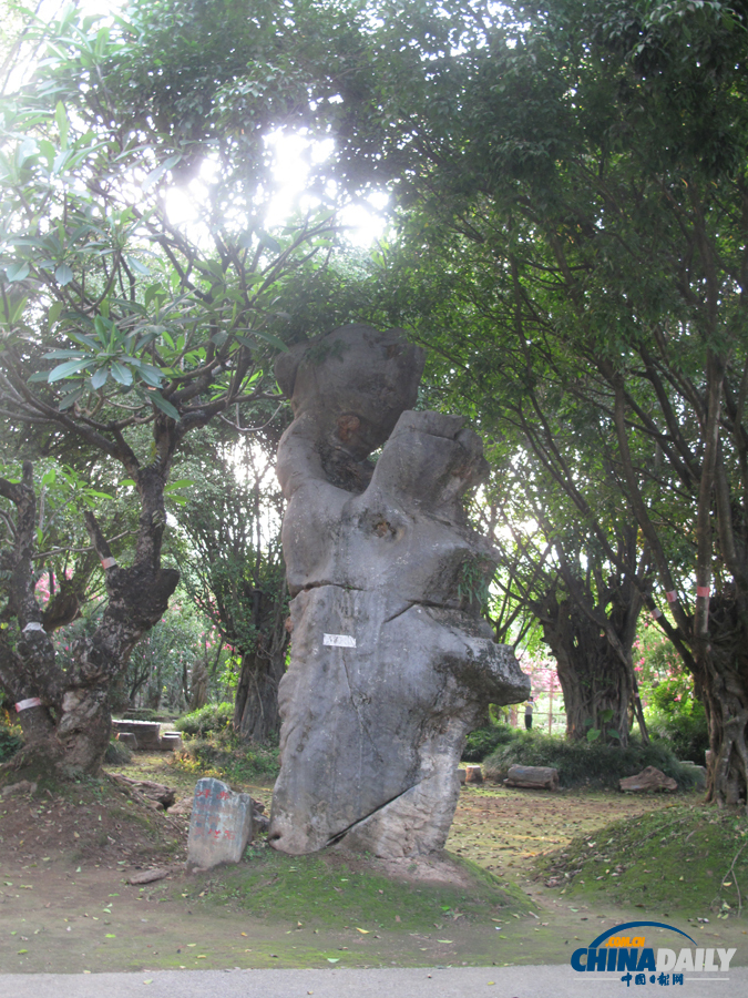 鐘靈毓秀 天下奇觀——勐巴娜西珍奇園