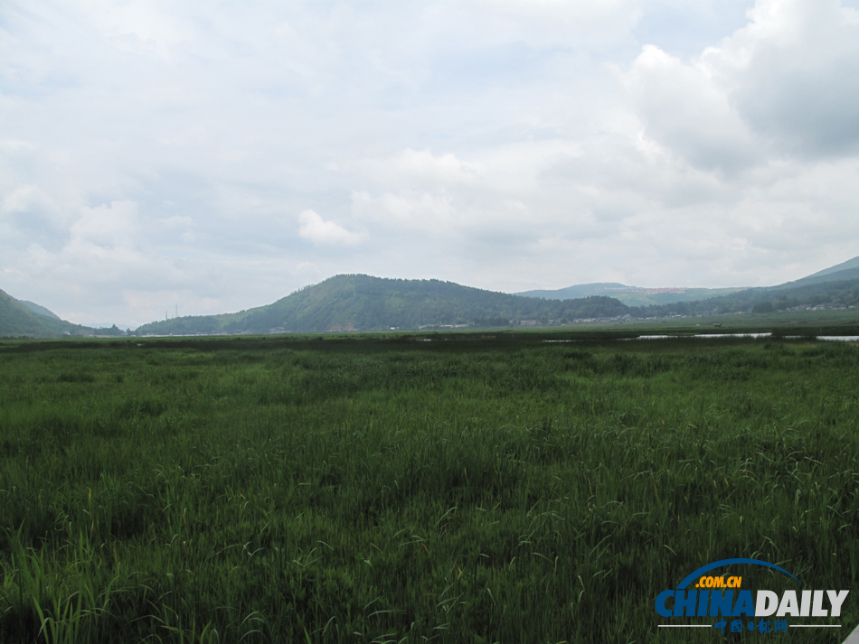 走進(jìn)騰沖北海濕地 體驗(yàn)“人在畫中游”的美景