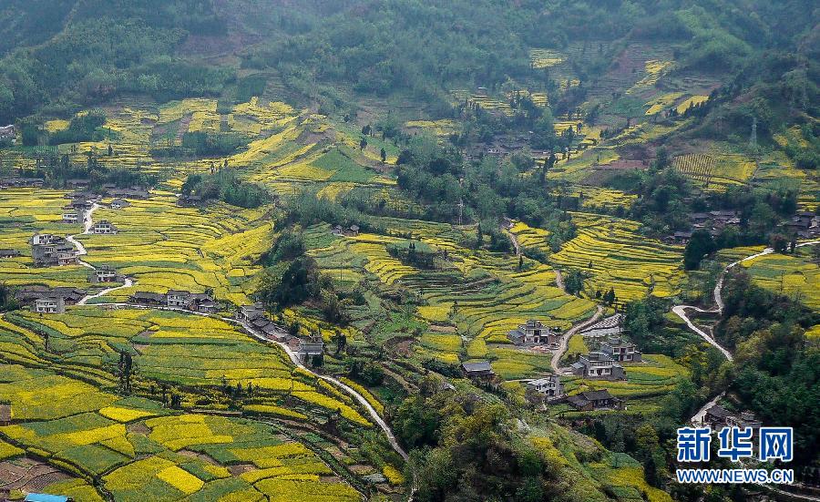 資料圖片：航拍的四川省蘆山縣思延鄉(xiāng)