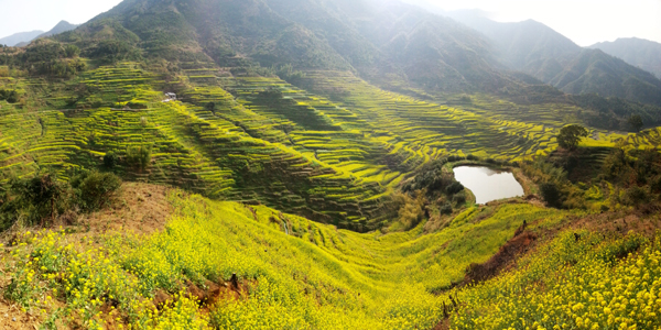 婺源:中國最美鄉村