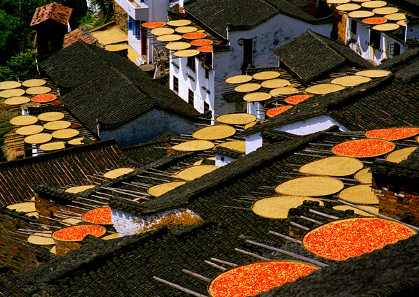 婺源:中國最美鄉村