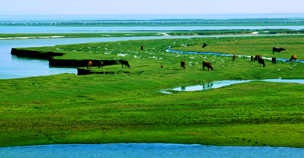 鄱陽：風光旖旎 詩情畫意