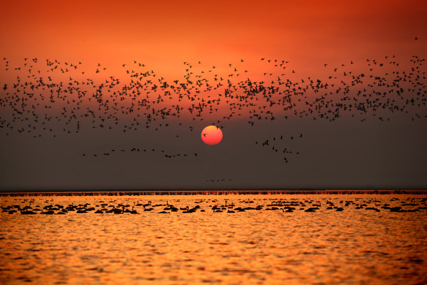 鄱陽：風光旖旎 詩情畫意