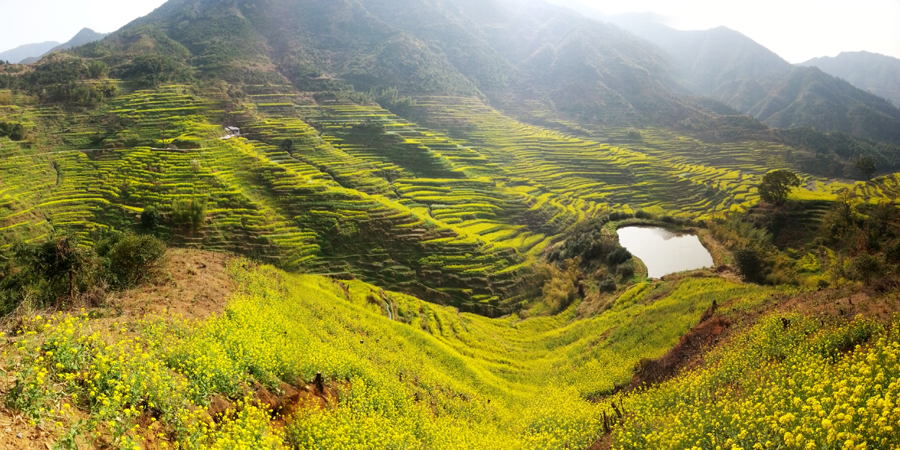 婺源篁嶺：一個美麗山村的童話