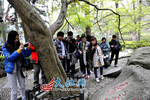 游“美廬” 照“美人鏡” 網媒記者感嘆不虛此行