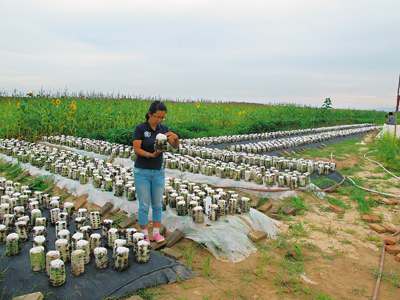 趙鑫娥：田野追夢 青春放歌