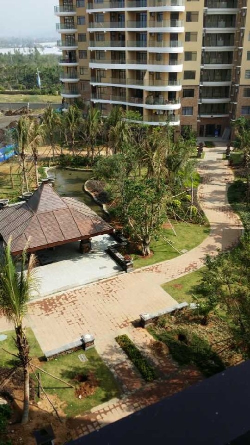 網(wǎng)媒記者贊樂東尖峰嶺：可與南美洲熱帶雨林媲美<BR>