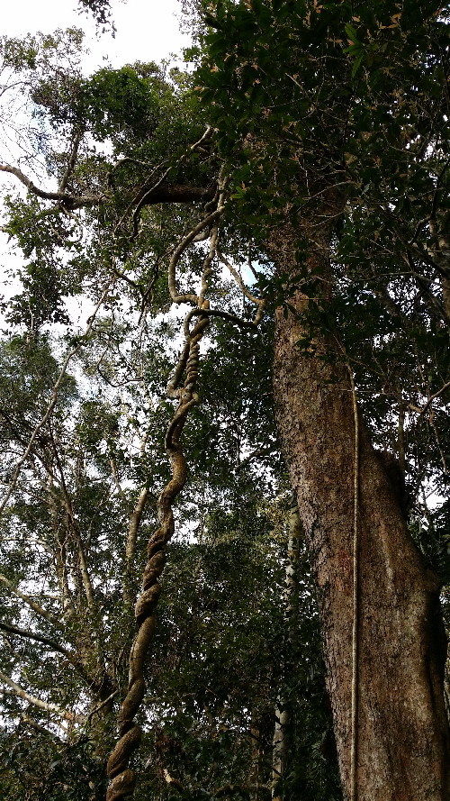 海南樂東地產經濟突顯獨特的自然環境優勢