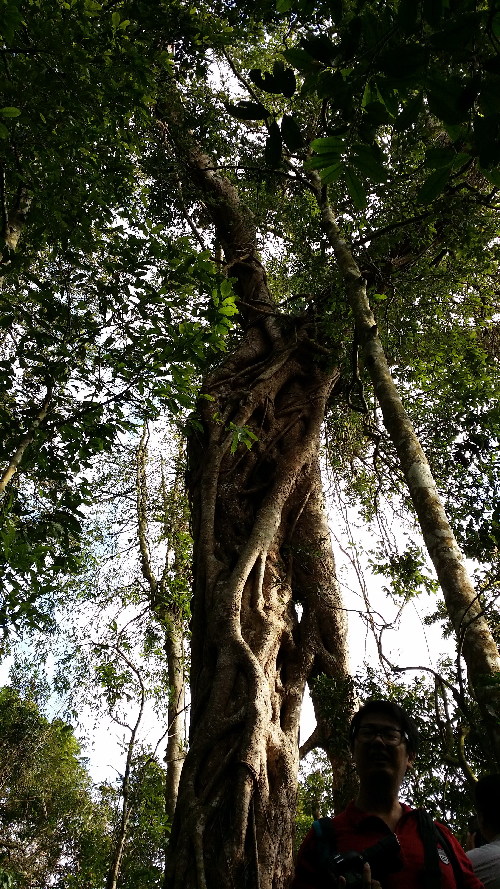 海南樂東地產經濟突顯獨特的自然環境優勢