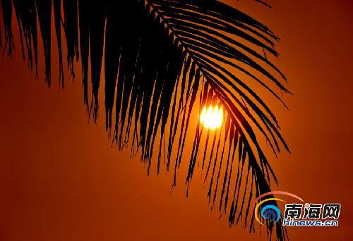 組圖：樂(lè)東風(fēng)光引人醉 龍沐灣落日美景