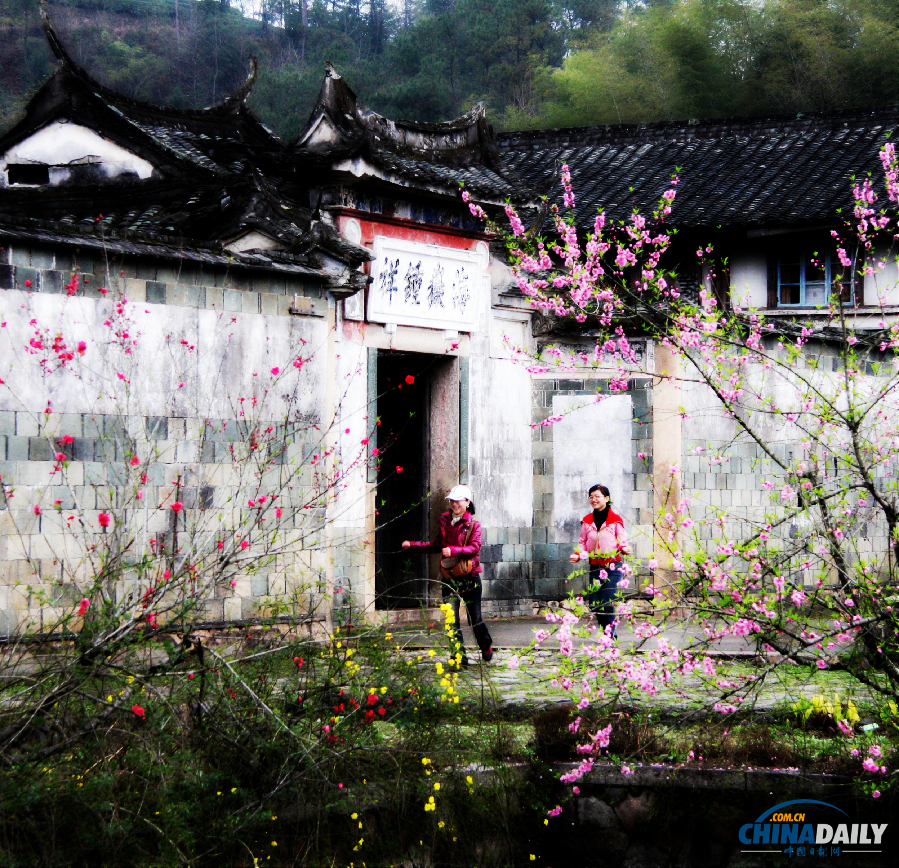 海外華人網(wǎng)友：回家過年 傳統(tǒng)的逆襲