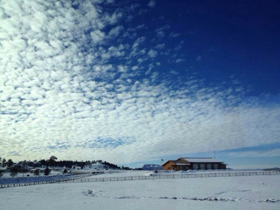海外華人的春節(jié)夢:每逢佳節(jié)倍思親