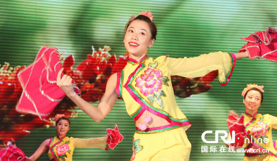 中國夢·非洲夢 尼日利亞2014年華僑華人新春聯歡會隆重舉行