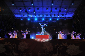 意大利羅馬舉行盛大慶?；顒?喜迎農歷馬年春節(jié)