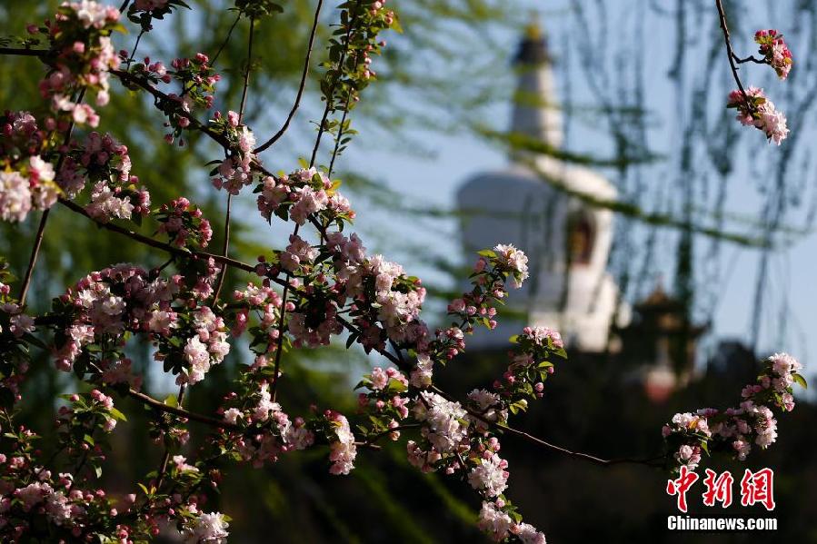 北京民眾踏春品寒食