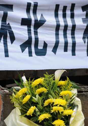 “5.12”兩周年:我聽見草葉溫柔耳語