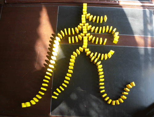 云南野生動物園春節“牛虎交接”儀式請您支招