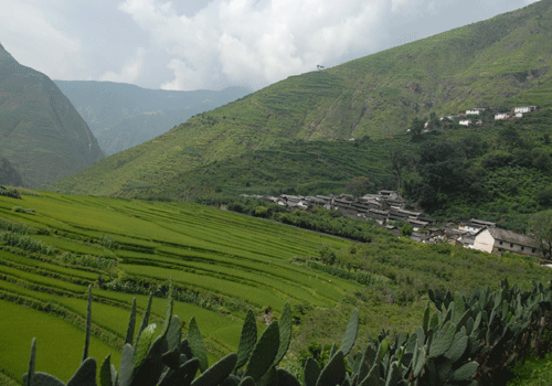 探秘朱苦拉(組圖)