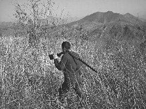 北京密云城郊狩獵場沉寂十年欲重開 封地六千畝