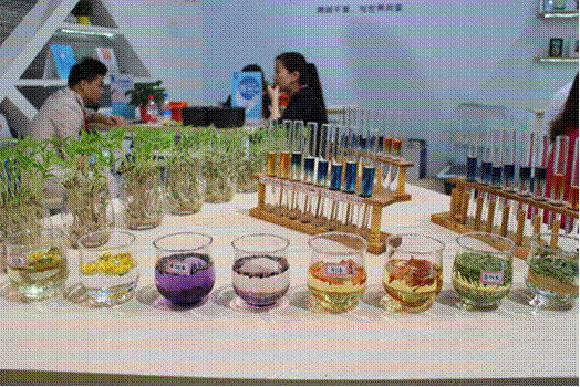 水博會完美落幕，卓瑪泉引領健康水革命