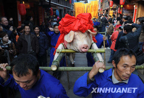 四川雅安舉行震后首個“年豬節(jié)”