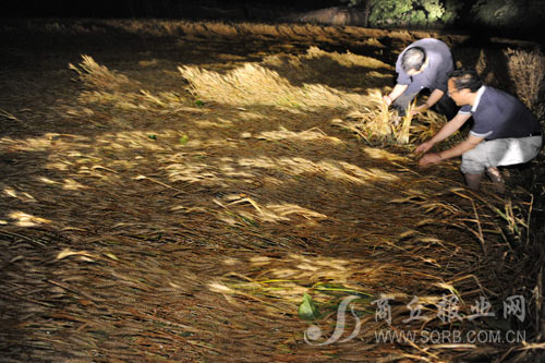 河南商丘開封濟源特大風雹致22人死亡