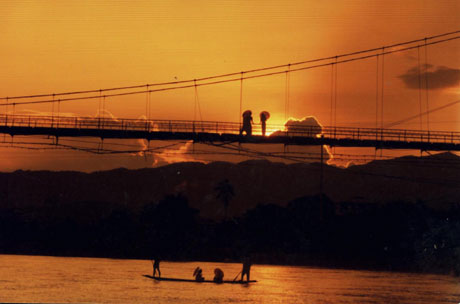 中科院西雙版納熱帶植物園暑期開(kāi)展科普旅游優(yōu)惠活動(dòng)