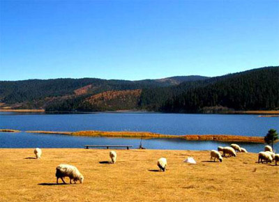 迪慶香格里拉-西雙版納旅游航空線路9月1日正式開通