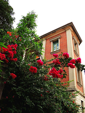 海上花園鼓浪嶼[圖]