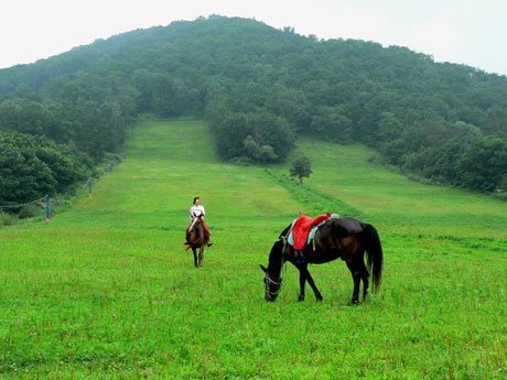 休閑度假好去處——玉泉狩獵場