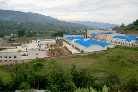 龍潤茶香港上市：打造中國茶第一品牌