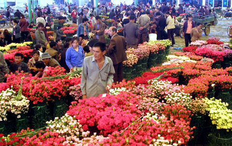 中國花博會9月開幕 云南舉“特色”牌