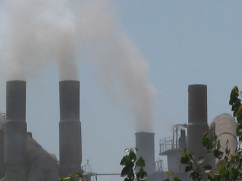 碳交易資源開發(fā)太粗放國外吃