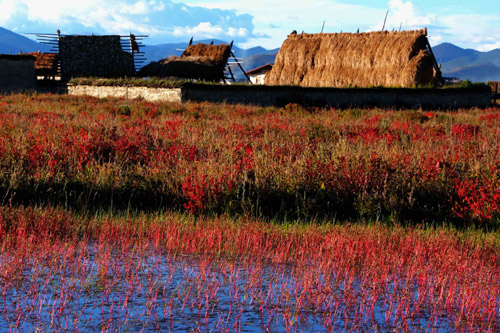 云南迪慶藏族自治州州長:努力打造發展和諧生態香格里拉