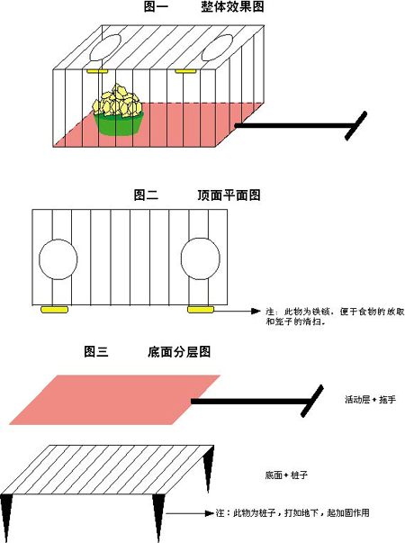 云南野生動物園猩猩貪吃 熱心讀者出點子助其減肥