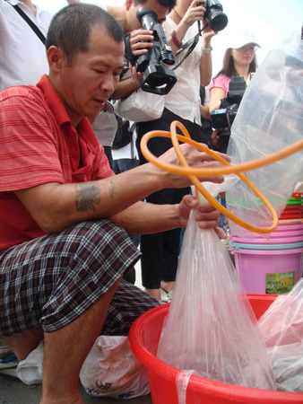 兩岸漁業(yè)首次攜手增殖放流70萬尾烏鯔魚魚苗