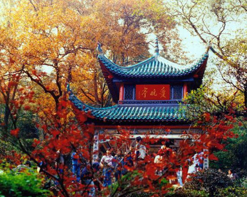 停車坐愛楓林晚 層林盡染岳麓山