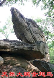 遼寧清原金山天然石佛:神奇的啟運之地