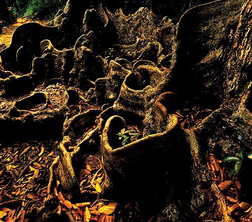 壩光村：被時(shí)光遺忘的美