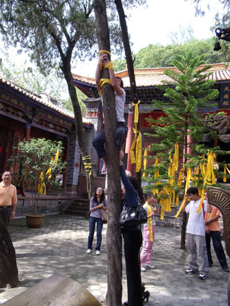 云南大姚千名學(xué)生吟誦論語