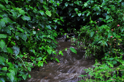 云南南澗縣擁翠鄉(xiāng)60年之渴今朝解[圖]