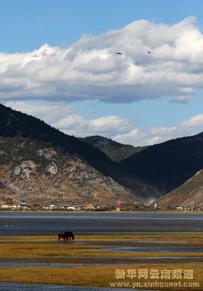 深秋秘境香格里拉[多圖]