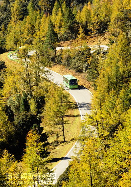 深秋秘境香格里拉[多圖]