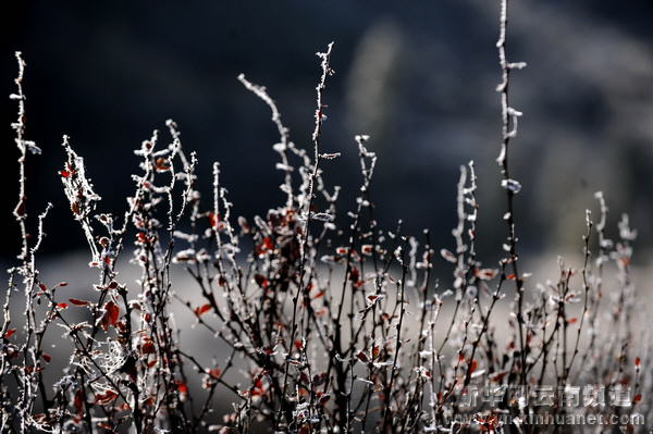 深秋秘境香格里拉[多圖]