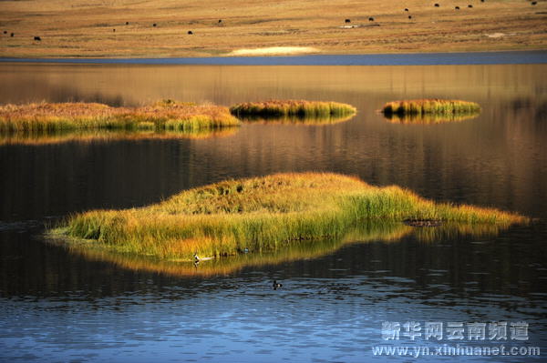 深秋秘境香格里拉[多圖]