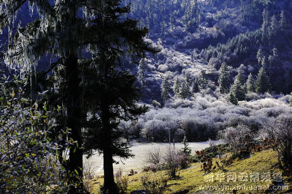 深秋秘境香格里拉[多圖]